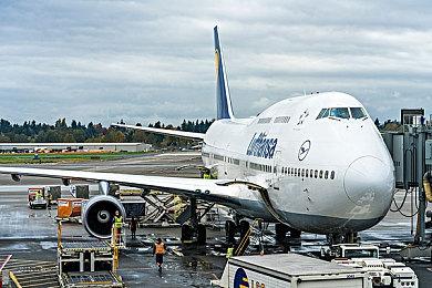 《千锤百炼》公布新宣传片 开放世界生存制作